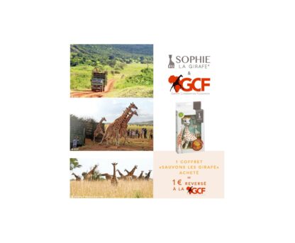 sophie-la-girafe-magasin-puériculture-nantes-bébé-éveil-coffret-sauvegarde-safety