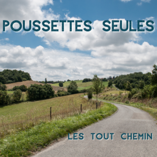 Poussette Tout Chemin en solo