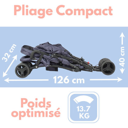 poussette-double-canne-bambisol-jumeaux-ages-rapprochés-portage-magasin-nantes-joie-puériculture-bébé-occasion-bugaboo