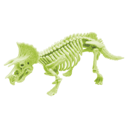 Kit paléo - squelette fluorescent – Image 3