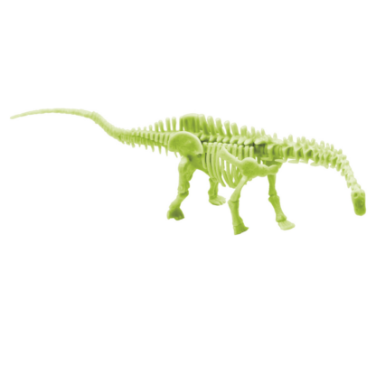 Kit paléo - squelette fluorescent – Image 2
