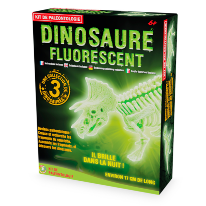 KIT-PALEO-JEUX-JUNIOR-ENFANTS-MAGASIN-ENFANT-NANTES-ULYSSE