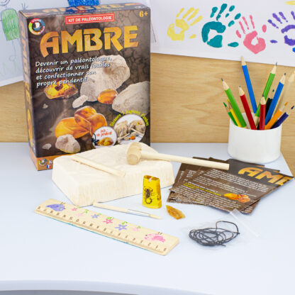 Kit paléo - l'ambre – Image 3